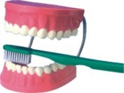 Dental Care Model